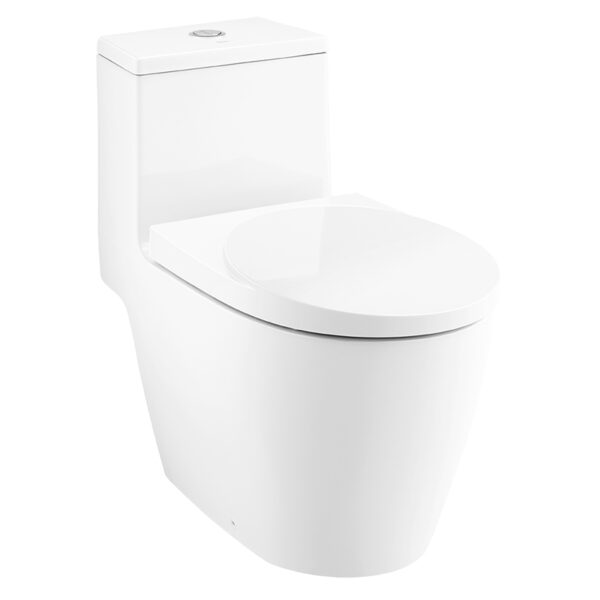 C100207 Bàn cầu một khối