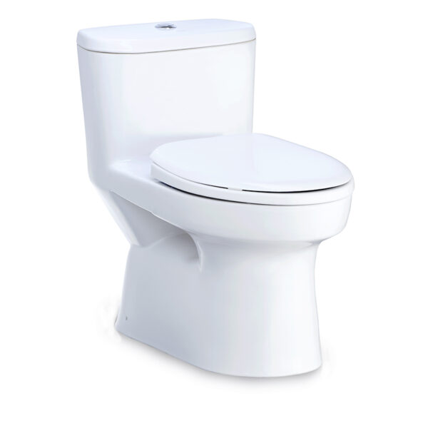 C1015 Bàn cầu một khối