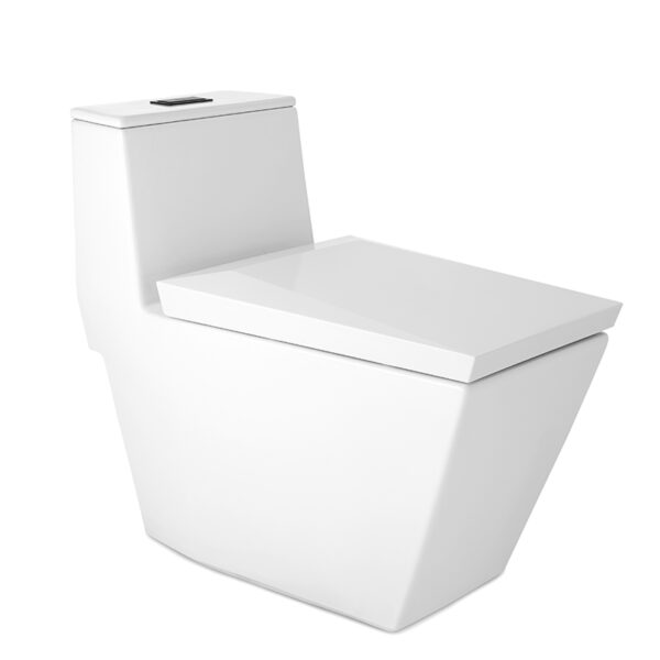 C102807 Bàn cầu một khối
