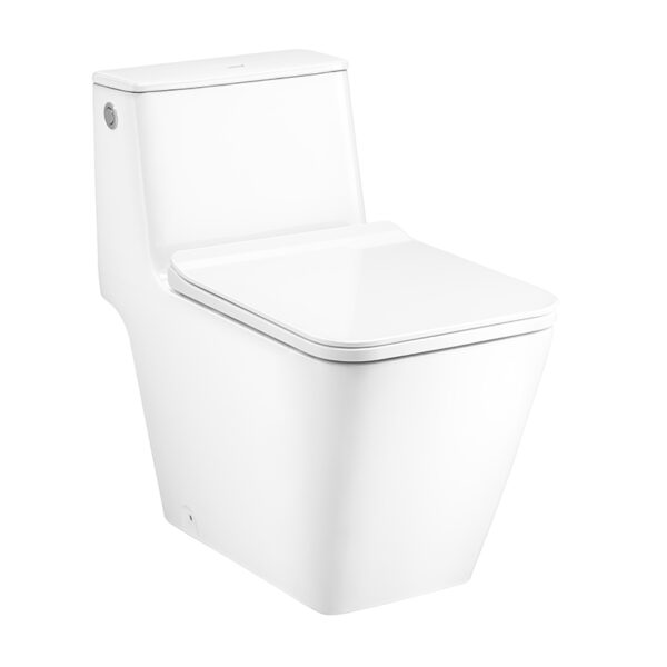 C103257 Bàn cầu xả không chạm