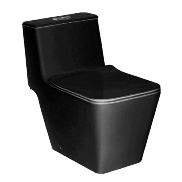 C1032 MBK Bàn cầu một khối