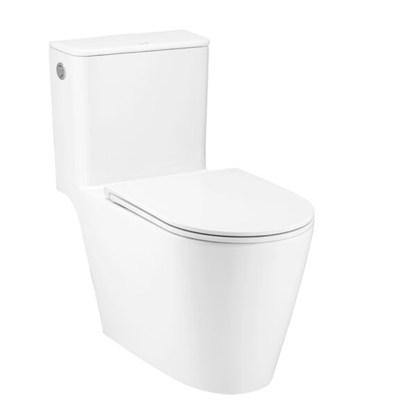 C103357 Bàn cầu xả không chạm