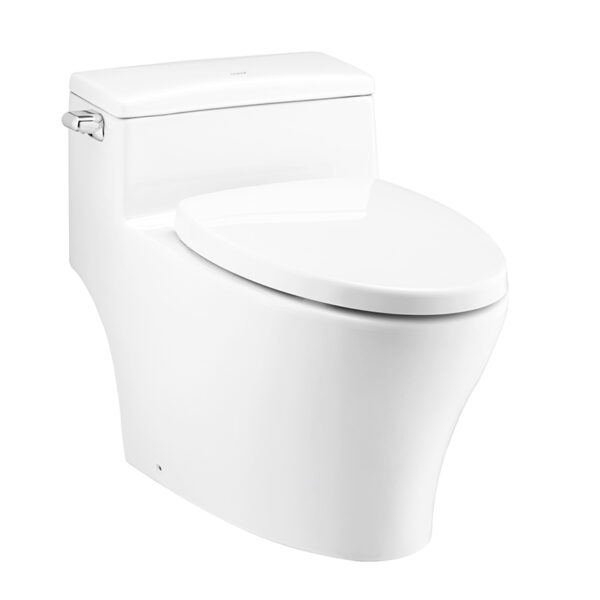 C10347 Bàn cầu một khối