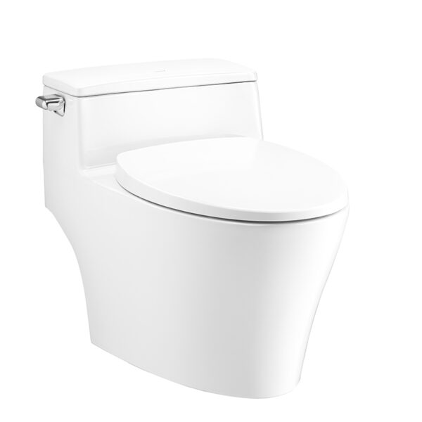 C10357 Bàn cầu một khối