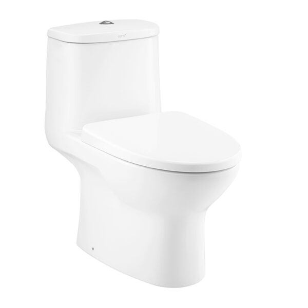 C1053 Bàn cầu một khối