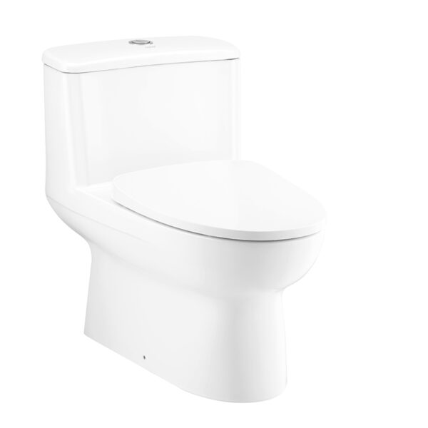 C105407 Bàn cầu một khối
