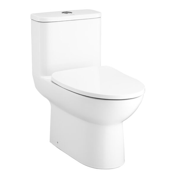 C105507 Bàn cầu một khối