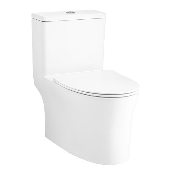 C105607 Bàn cầu một khối