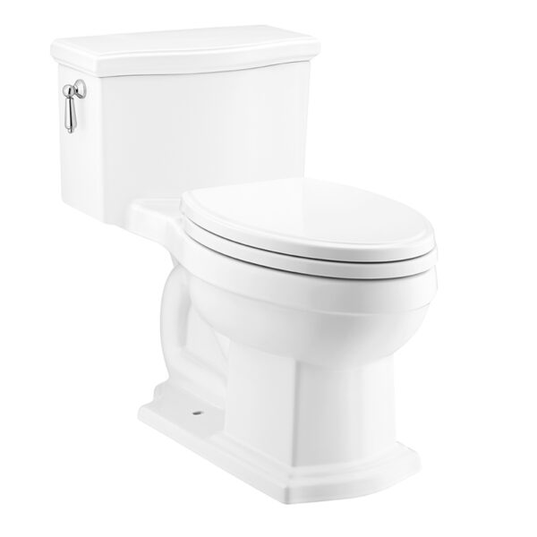 C10617 Bàn cầu một khối