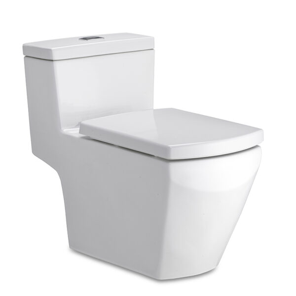C107127 Bàn cầu một khối