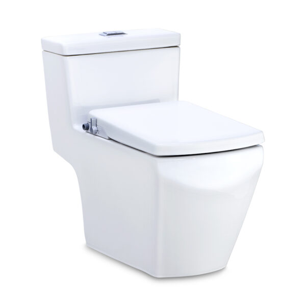 C107127(CN) Bàn cầu nắp rửa cơ