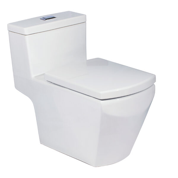 C10717 Bàn cầu một khối