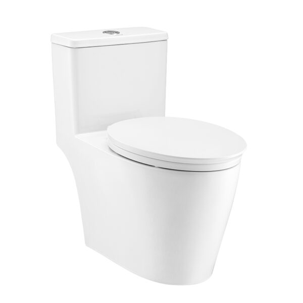 C110507 Bàn cầu một khối