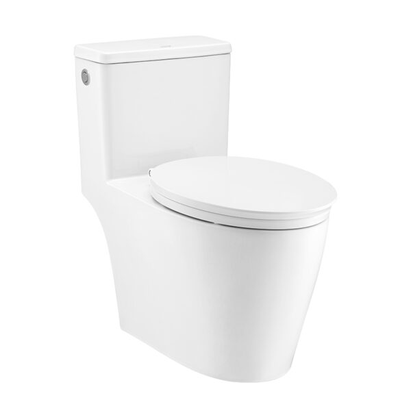 C110517 Bàn cầu xả không chạm