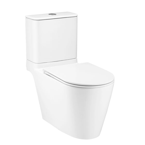 C125317 Bàn cầu hai khối