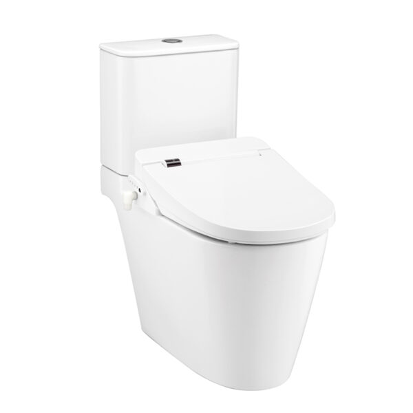 C125317(CV4) Bàn cầu nắp rửa điện tử
