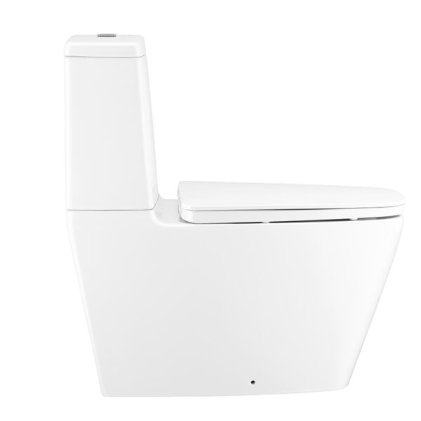 C135107 Bàn cầu hai khối