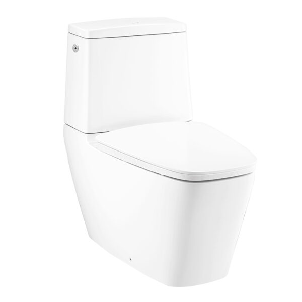 C135137 Bàn cầu xả không chạm