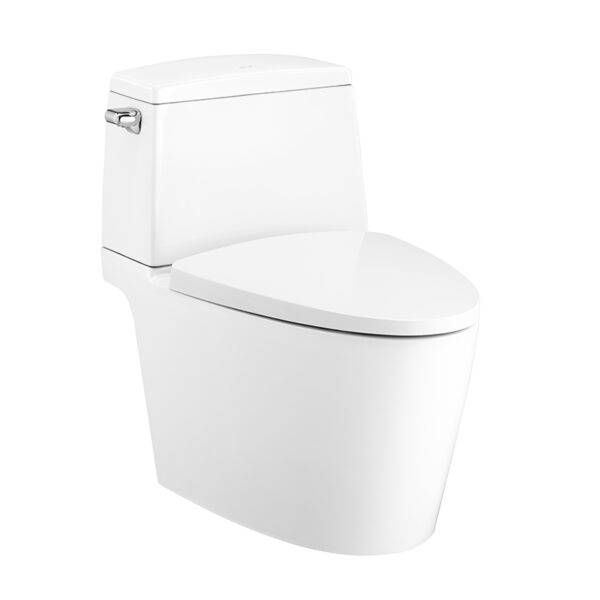 C13537 Bàn cầu hai khối