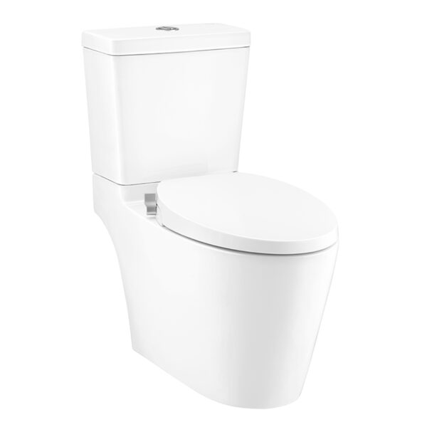 C167507(CN1) Bàn cầu nắp rửa cơ