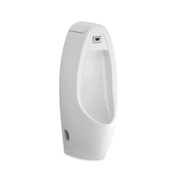 C31237AC Tiểu nam cảm ứng