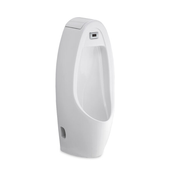 C31237DC Tiểu nam cảm ứng