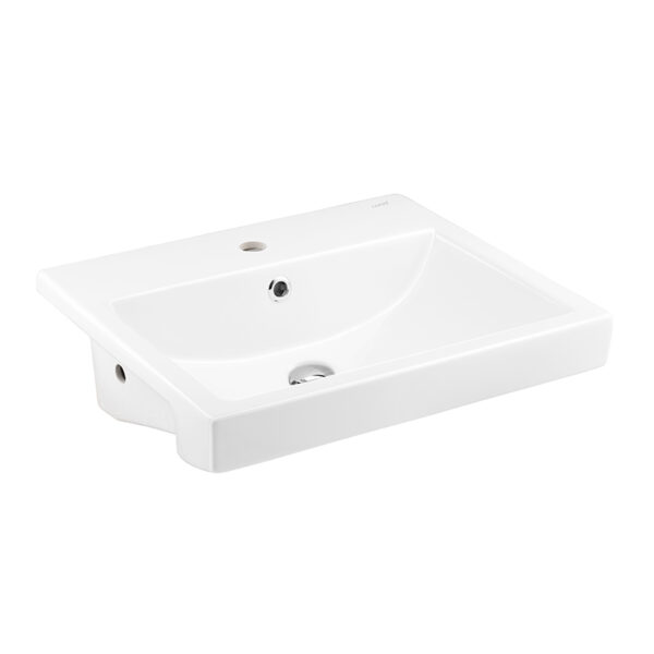 Wall hung Basin