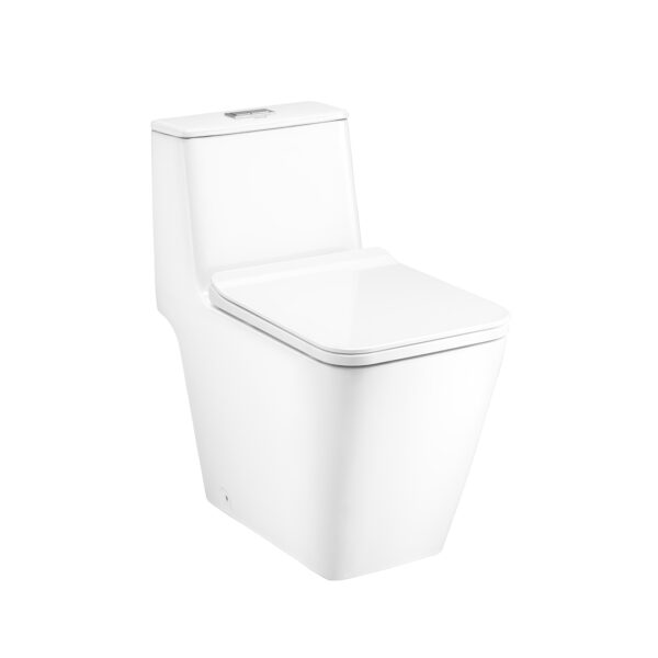 C10327+C91542 Simply Modish One piece toilet. (UC+) (S-Trap)