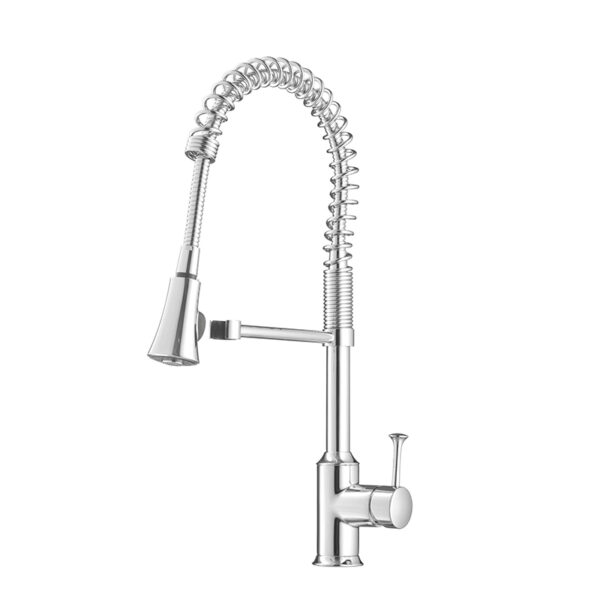 CT2099A Vòi bếp