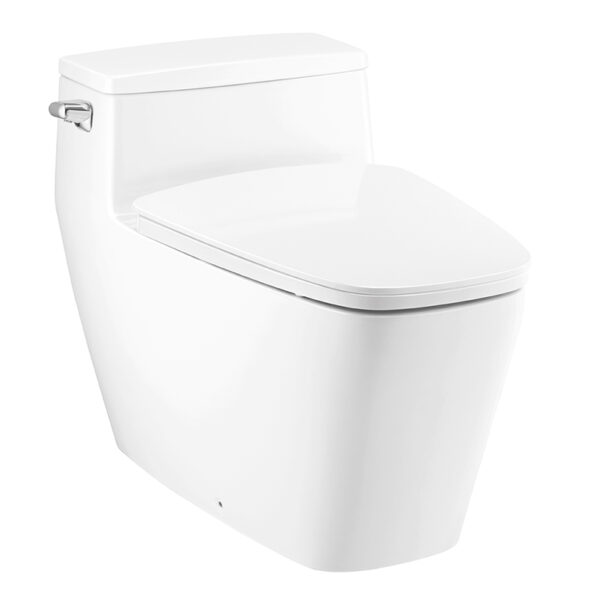 C101907 Bàn cầu một khối