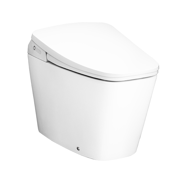 C10207 Bàn cầu điện tử