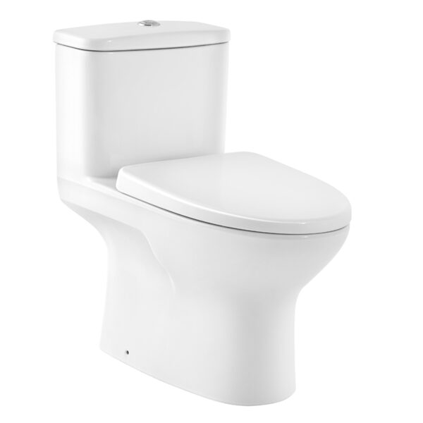 C105337 Bàn cầu một khối
