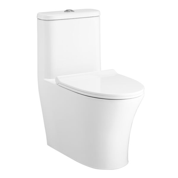 C11001HNOS Bàn cầu một khối
