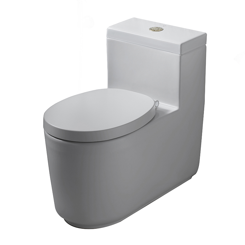 CPW10007 MWH#GR2 Bàn cầu một khối0