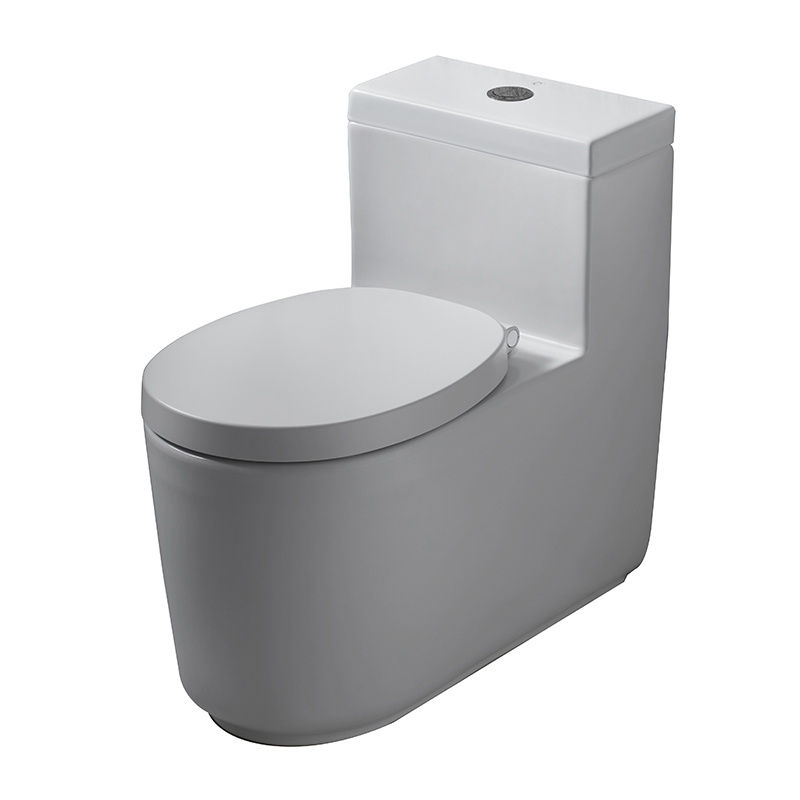 CPW10007 MWH#BN2 Bàn cầu một khối0